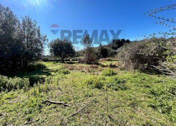 Giardino - Terreno edificabile Formello - foto 22