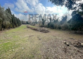 Giardino - Terreno edificabile Formello - foto 1