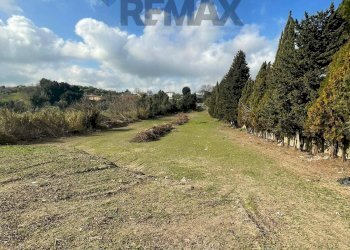 Giardino - Terreno edificabile Formello - foto 6