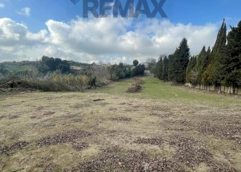 Giardino - Terreno edificabile Formello - foto 8