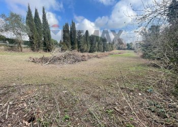 Giardino - Terreno edificabile Formello - foto 10