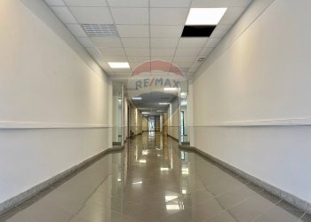Ricezione / Lobby - Ufficio Via degli Olmetti
46, Formello - foto 5
