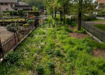 Giardino - Terreno edificabile VIA XV APRILE, Casorate Sempione - foto 12