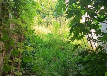 Giardino - Casa indipendente via mazzini
 
42, Castiglione d'Adda - foto 14