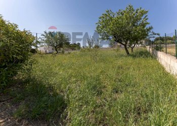 Giardino - Baita Strada Gianfelice 52/ Str. Monticelli
 
72, Martina Franca - foto 26