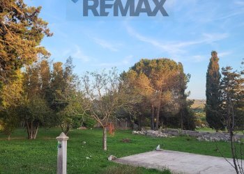 Giardino - Independent house Sennori - photo 39