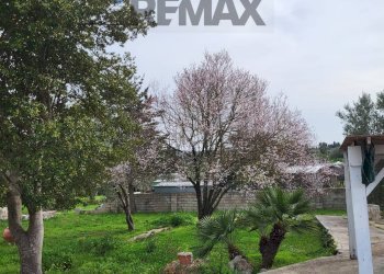 Giardino - Independent house Sennori - photo 54