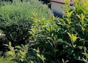 Foto 12 - Villa VIA GUIDO ZADEI, Desenzano del Garda - foto 12