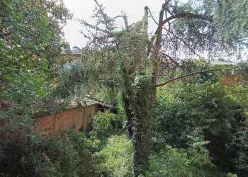 Terreno - Two-room apartment Cento - photo 10