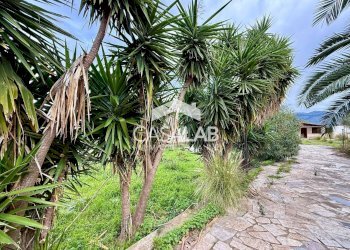 Foto 4 - Terreno agricolo Via Giaconia
snc, Carini - foto 4