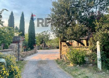 Giardino - Rustic Località Torricelle
 
247, Rosignano Marittimo - photo 43