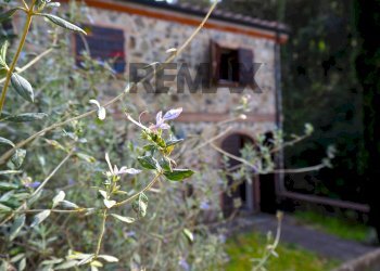 Casa all\'aperto - Rustico Strada comunale di Casavecchia, Castagneto Carducci - foto 11
