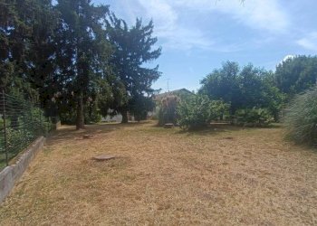 Terreno - Rustico via del Castello, Pontestura - foto 39