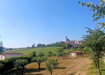 Terreno - Rustico via del Castello, Pontestura - foto 41