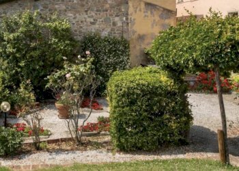 Foto 13 - Villa Massarosa, Massarosa - foto 13