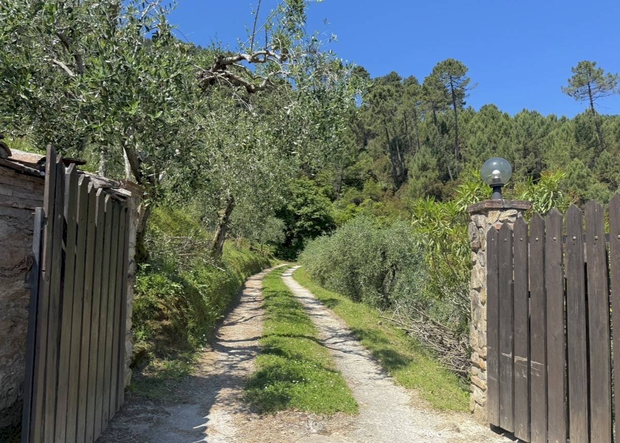 Foto 3 - Rustico Via di Tiglio, Capannori - foto 3