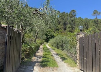 Foto 3 - Rustico Via di Tiglio, Capannori - foto 3