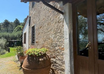 Foto 12 - Rustico Via di Tiglio, Capannori - foto 12