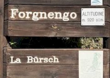 Dettagli - Rustic Frazione Forgnengo, 30, Campiglia Cervo - photo 24