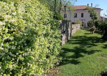 Foto 20 - Villa Via Giglioli, Roccamonfina - photo 20