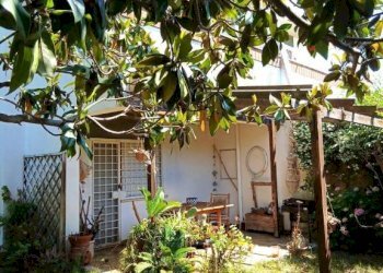 Giardino - Villa via degli Olmi, 2, Anzio - foto 4