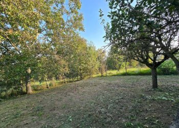 Terreno - Rustic Frazione Remorfengo, Montiglio Monferrato - photo 9