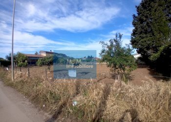 Foto 5 - Terreno edificabile Via Collecelio, Nettuno - foto 5