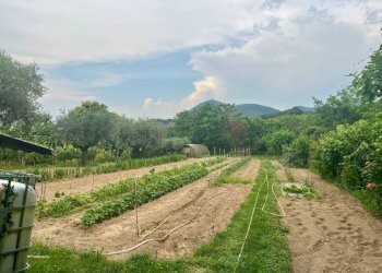 ESTERNO - Villa a Schiera Via Monte Venda 516, Vo' - foto 26
