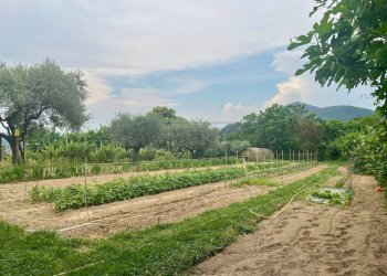 ESTERNO - Villa a Schiera Via Monte Venda 516, Vo' - foto 27