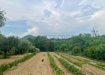 ESTERNO - Villa a Schiera Via Monte Venda 516, Vo' - foto 29
