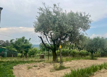 5816912928010081204_119 - Villa a Schiera Via Monte Venda 516, Vo' - foto 30