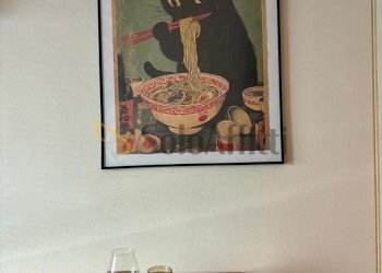 dettaglio - Appartamento Via Giuseppe Pomba 25, Torino (zona Centro) - foto 17