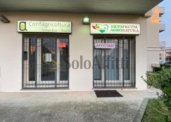 WhatsApp Image 2026-04-09 at 19.04.368 - Non Alimentare Via F. Turati 7, Tarquinia - foto 8
