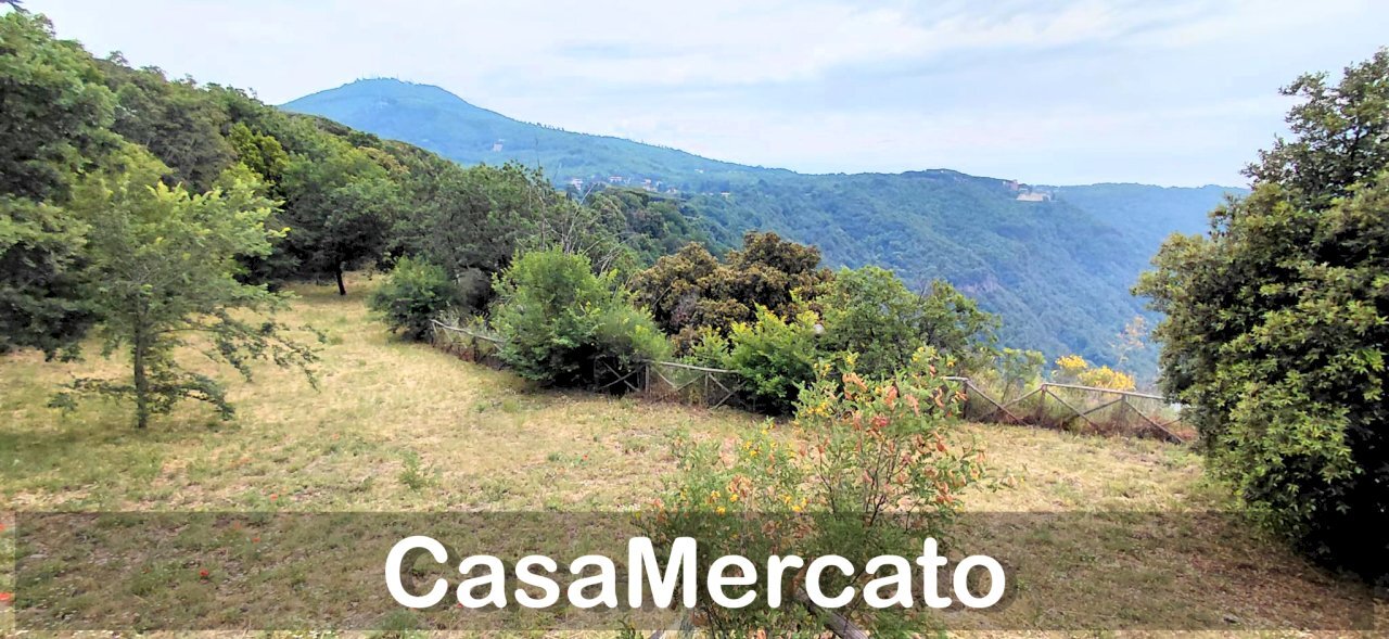 14 - Terreno agricolo Via dei Laghi, Rocca di Papa - foto 2