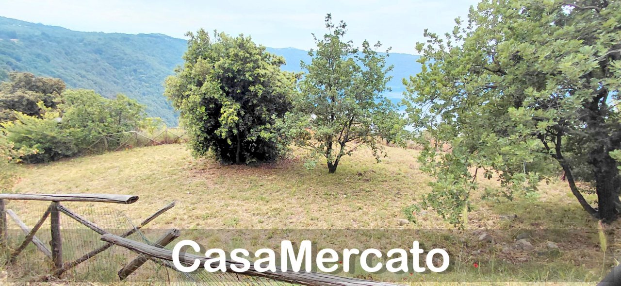 15 - Terreno agricolo Via dei Laghi, Rocca di Papa - foto 3