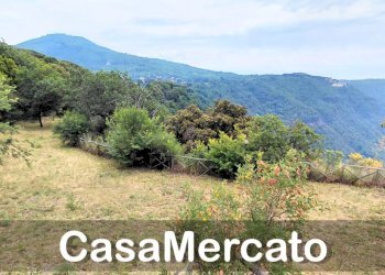 14 - Terreno agricolo Via dei Laghi, Rocca di Papa - foto 2