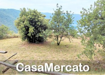 15 - Terreno agricolo Via dei Laghi, Rocca di Papa - foto 3