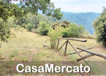 16 - Terreno agricolo Via dei Laghi, Rocca di Papa - foto 4