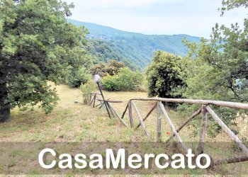 19 - Terreno agricolo Via dei Laghi, Rocca di Papa - foto 5