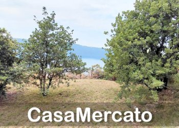 22 - Terreno agricolo Via dei Laghi, Rocca di Papa - foto 7