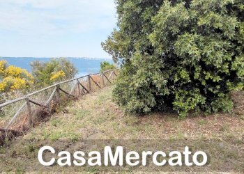 23 - Terreno agricolo Via dei Laghi, Rocca di Papa - foto 8