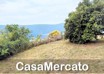 24 - Terreno agricolo Via dei Laghi, Rocca di Papa - foto 9