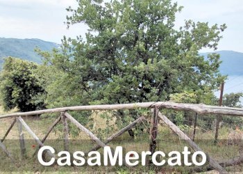 27 - Terreno agricolo Via dei Laghi, Rocca di Papa - foto 10