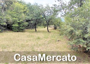 33 - Terreno agricolo Via dei Laghi, Rocca di Papa - foto 11