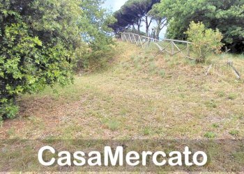 44 - Terreno agricolo Via dei Laghi, Rocca di Papa - foto 12