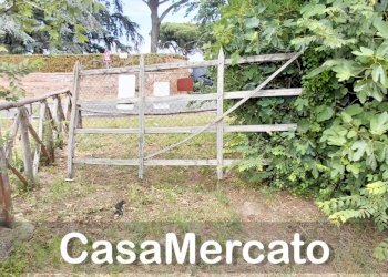 55 - Terreno agricolo Via dei Laghi, Rocca di Papa - foto 13