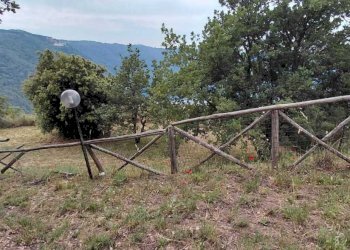 66 - Terreno agricolo Via dei Laghi, Rocca di Papa - foto 14