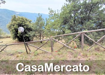 66 - Terreno agricolo Via dei Laghi, Rocca di Papa - foto 15