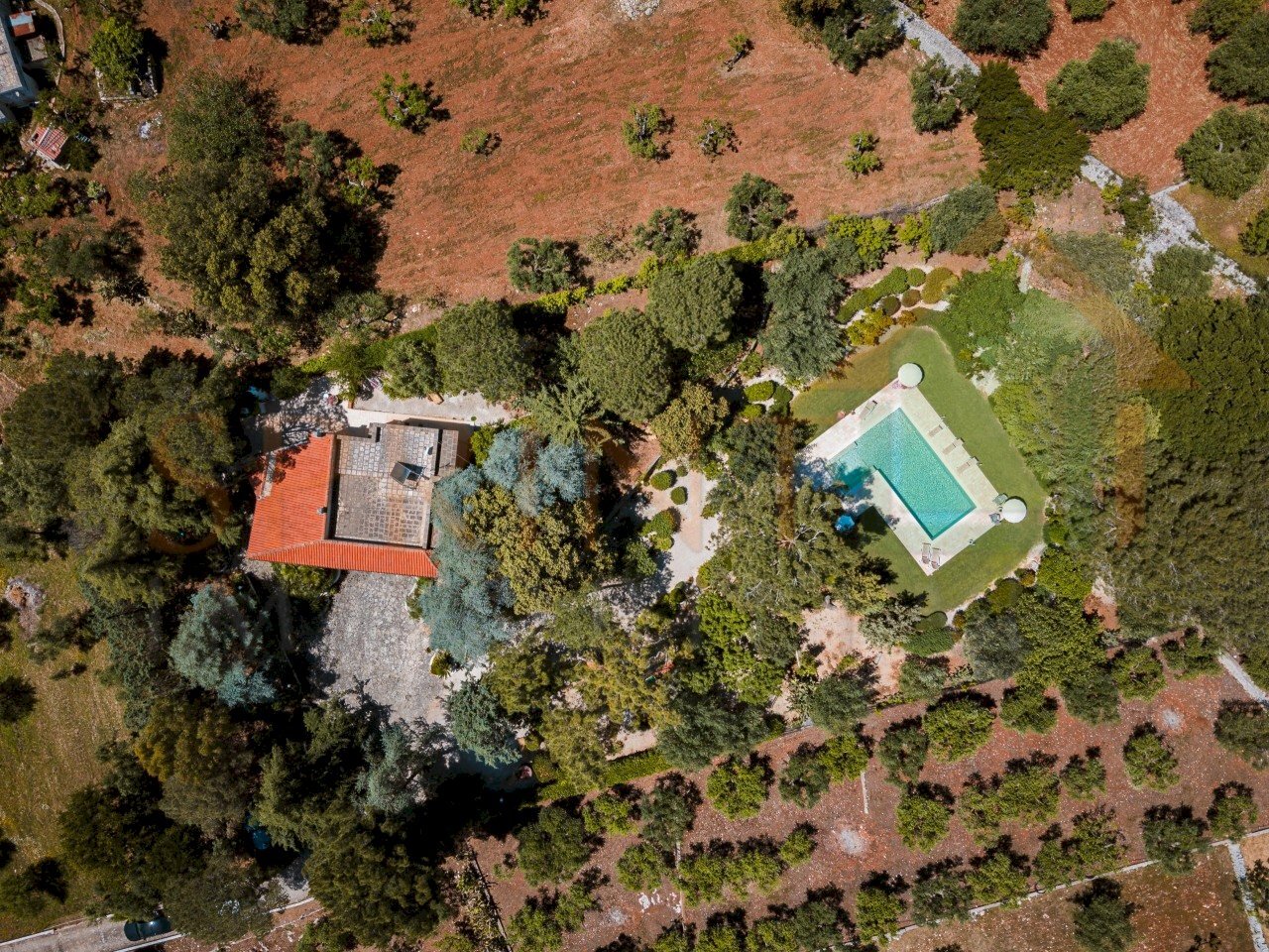 DJI_0281-DxO_DeepPRIME XD2s-HDR - Villa Contrada Tavarello 343/A, Monopoli - foto 1