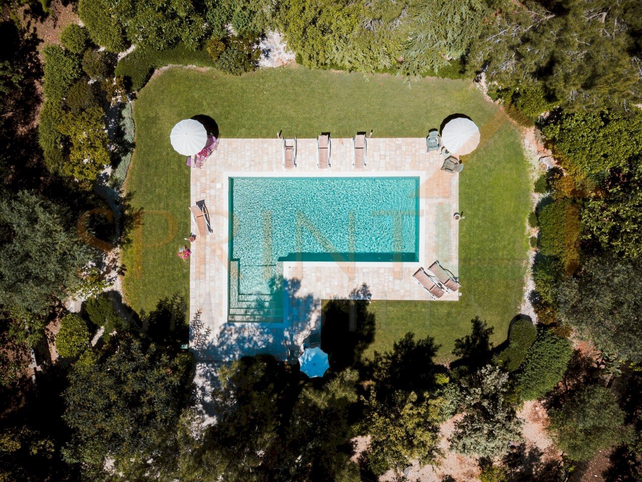 DJI_0294-DxO_DeepPRIME XD2s - Villa Contrada Tavarello 343/A, Monopoli - foto 2